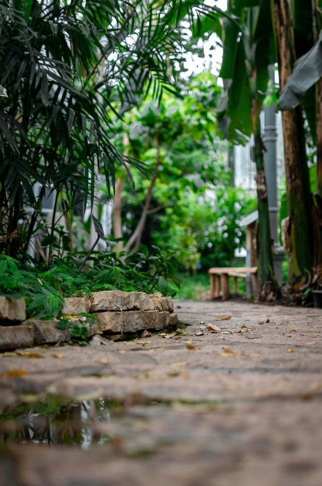 Making The Most Of A Courtyard Garden